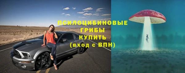 гидропоника Кодинск