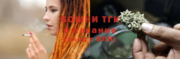 молекула духа Козловка