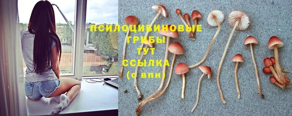молекула духа Козловка