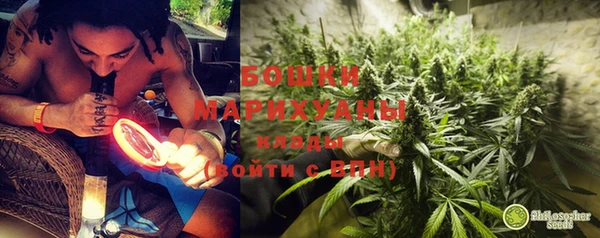 гидропоника Кодинск
