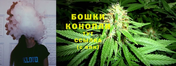 молекула духа Козловка