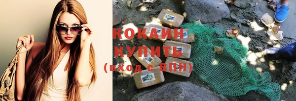молекула духа Козловка
