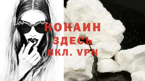 молекула духа Козловка