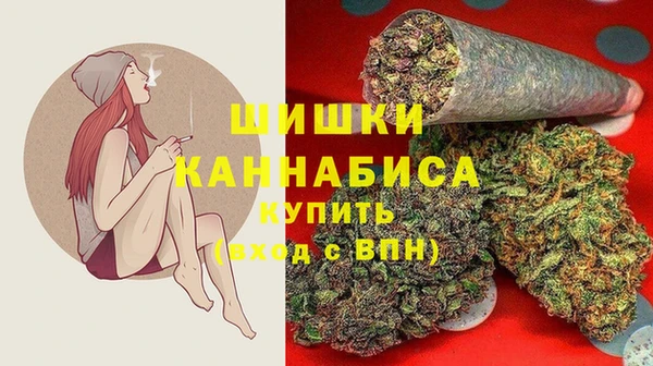 молекула духа Козловка