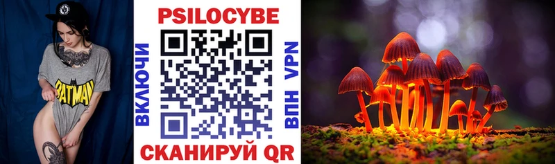 Купить  Грайворон  Псилоцибиновые грибы MAGIC MUSHROOMS 