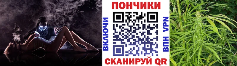 Каннабис семена  Купить где  Грайворон 